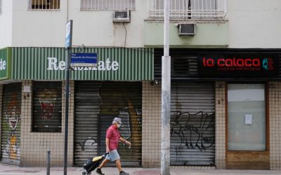 Associação alerta para aumento de pragas urbanas durante isolamento